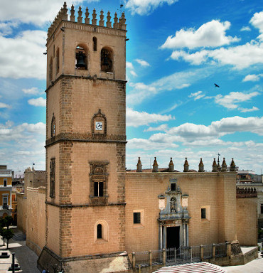 Homilía Dedicación de la Catedral