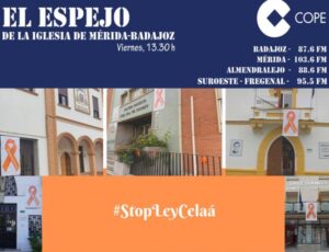 El Espejo 20/11/20