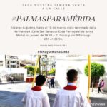La Cofradía Infantil inicia la campaña #PalmasParaMérida