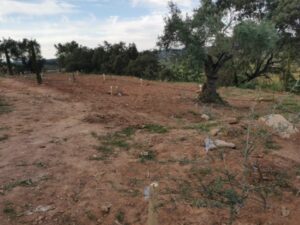 Oliva de la Frontera homenajeó al sacerdote Manuel Calvino