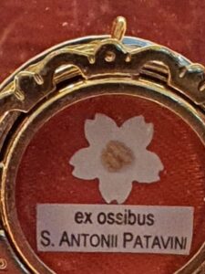 Almendralejo ha recibido una reliquia de san Antonio de Padua