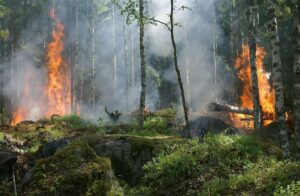 La Delegación para la Ecología Integral, ante los incendios en Extremadura