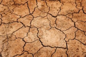 D. Celso Morga pide oraciones por la llegada de la lluvia