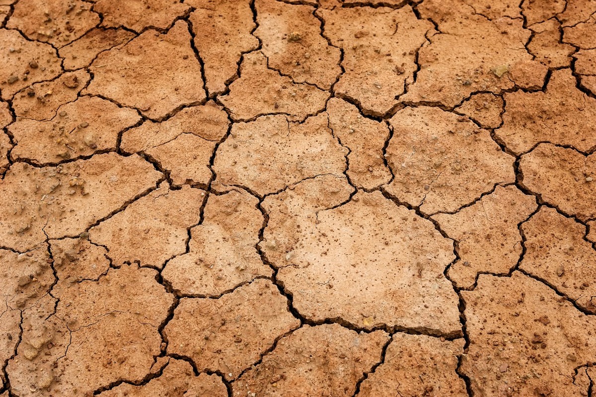 D. Celso Morga pide oraciones por la llegada de la lluvia