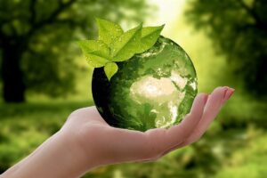La Delegación de Ecumenismo y Diálogo interreligioso asume Ecología Integral