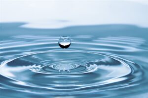 José Rubio y Miguel Ángel García publican el escrito «El agua es fuente de vida»
