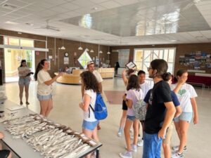 La JEC designa para cargos nacionales a cuatro extremeños