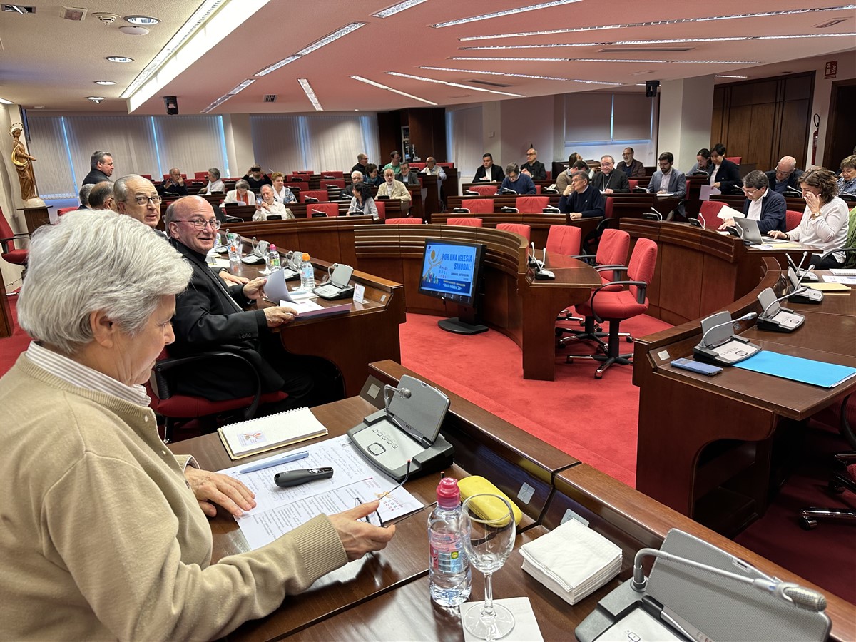 La diócesis, representada en la Asamblea sinodal de la Iglesia en España